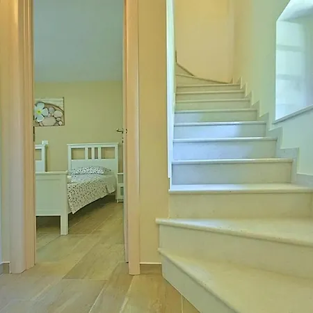 Rosa Casa de Férias